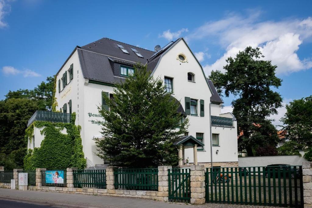 Villa Angelika Дрезден Экстерьер фото